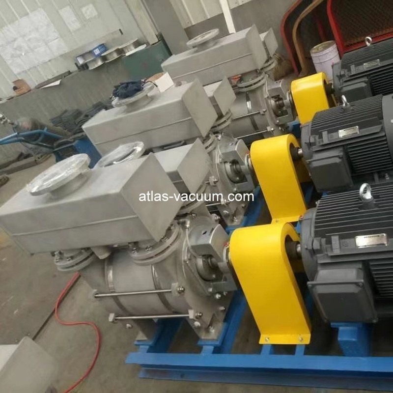 2BE1 Liquid Ring Vacuum Pump