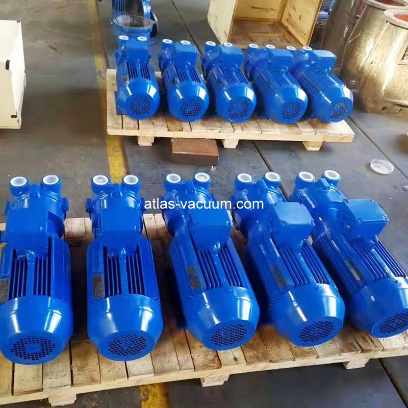 2BV2/5 Liquid Ring Vacuum Pump