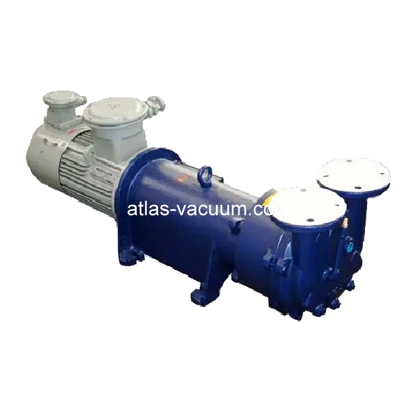 2BV6 Liquid Ring Vacuum Pump