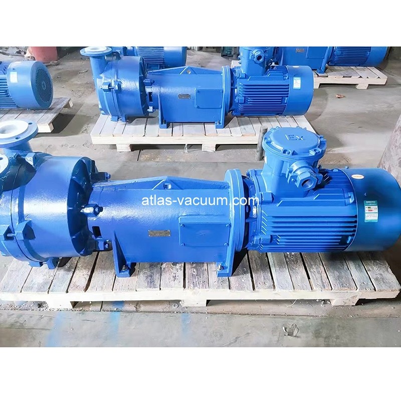 2BV6 Liquid Ring Vacuum Pump