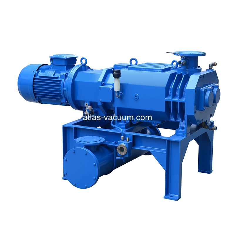 Dry Screw Vacuum Pump