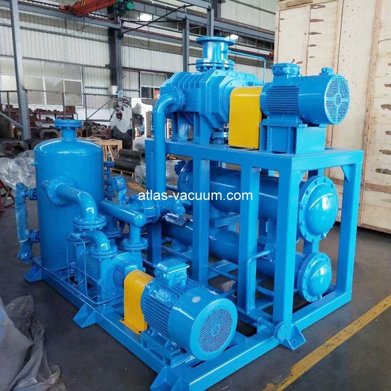 Dry Screw Vacuum Pump