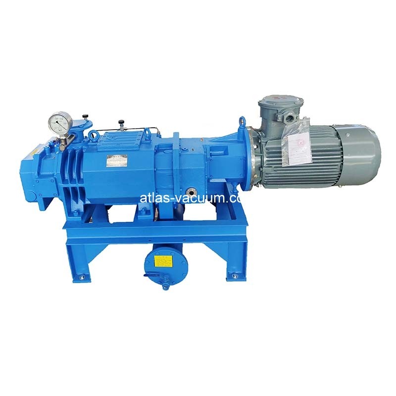 Dry Screw Vacuum Pump