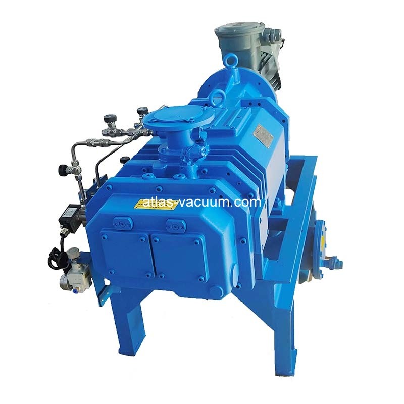 Dry Screw Vacuum Pump