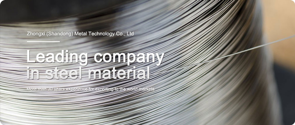 stainless steel wire 310 Stainless Steel Wire
