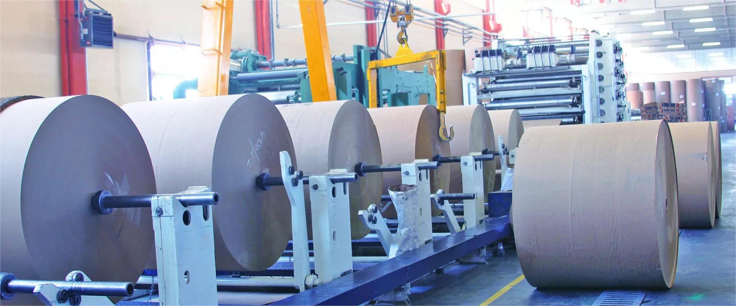 Oversupply of low-end products Vietnam's paper industry seeks transformation