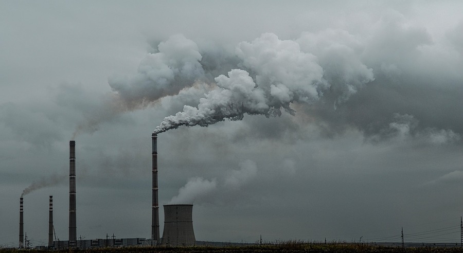Arauco temporarily suspends production at Paraná pulp mill in Argentina