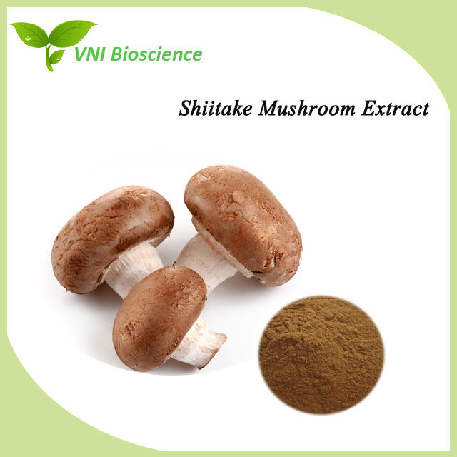 Extrato de Cogumelo Shiitake