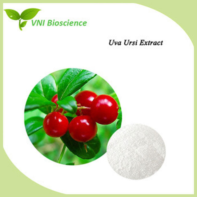 Extracto de uva ursi
