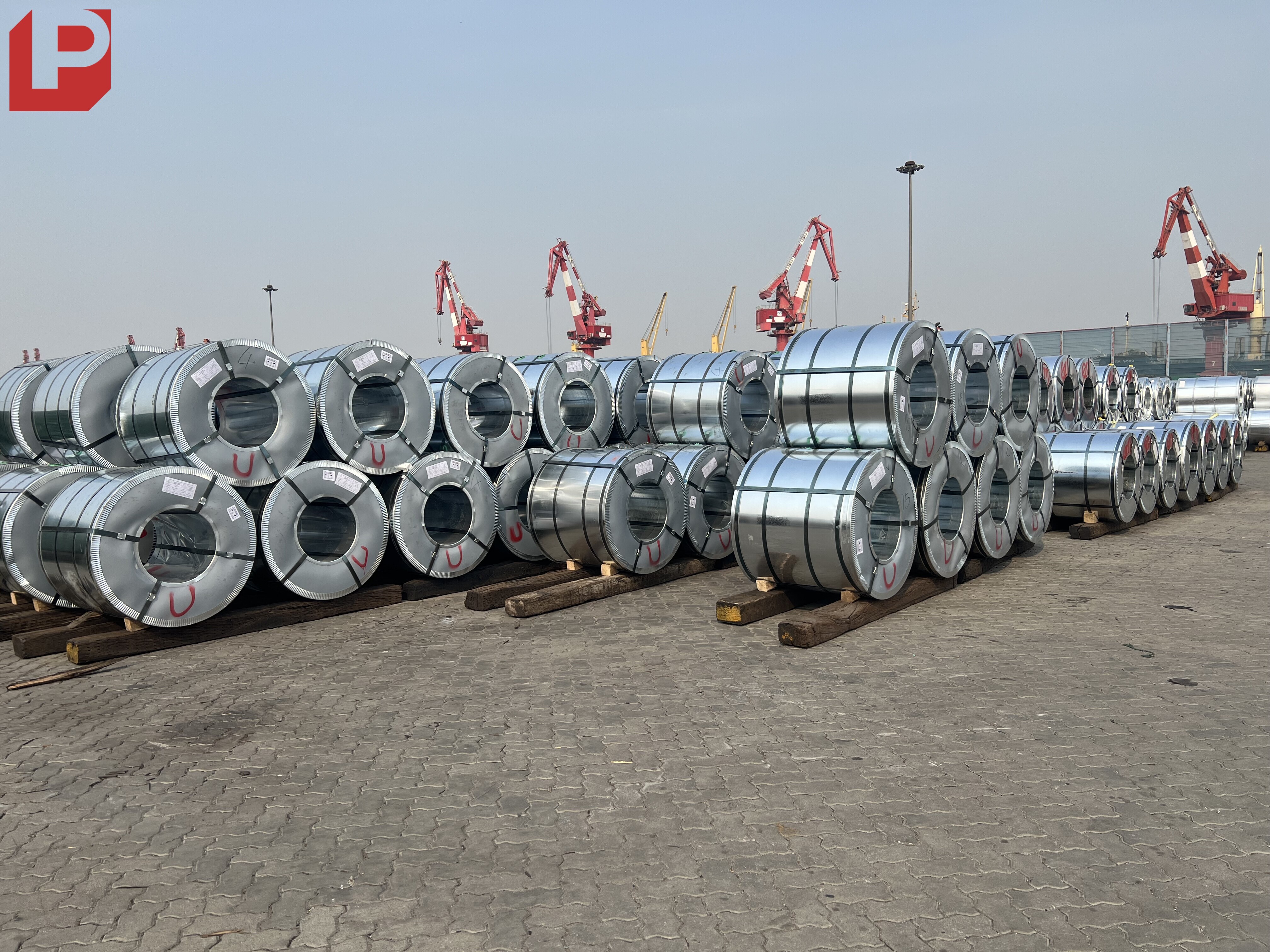 SGCC Galvanized Coil