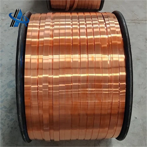 Bare Flexible Copper Strip