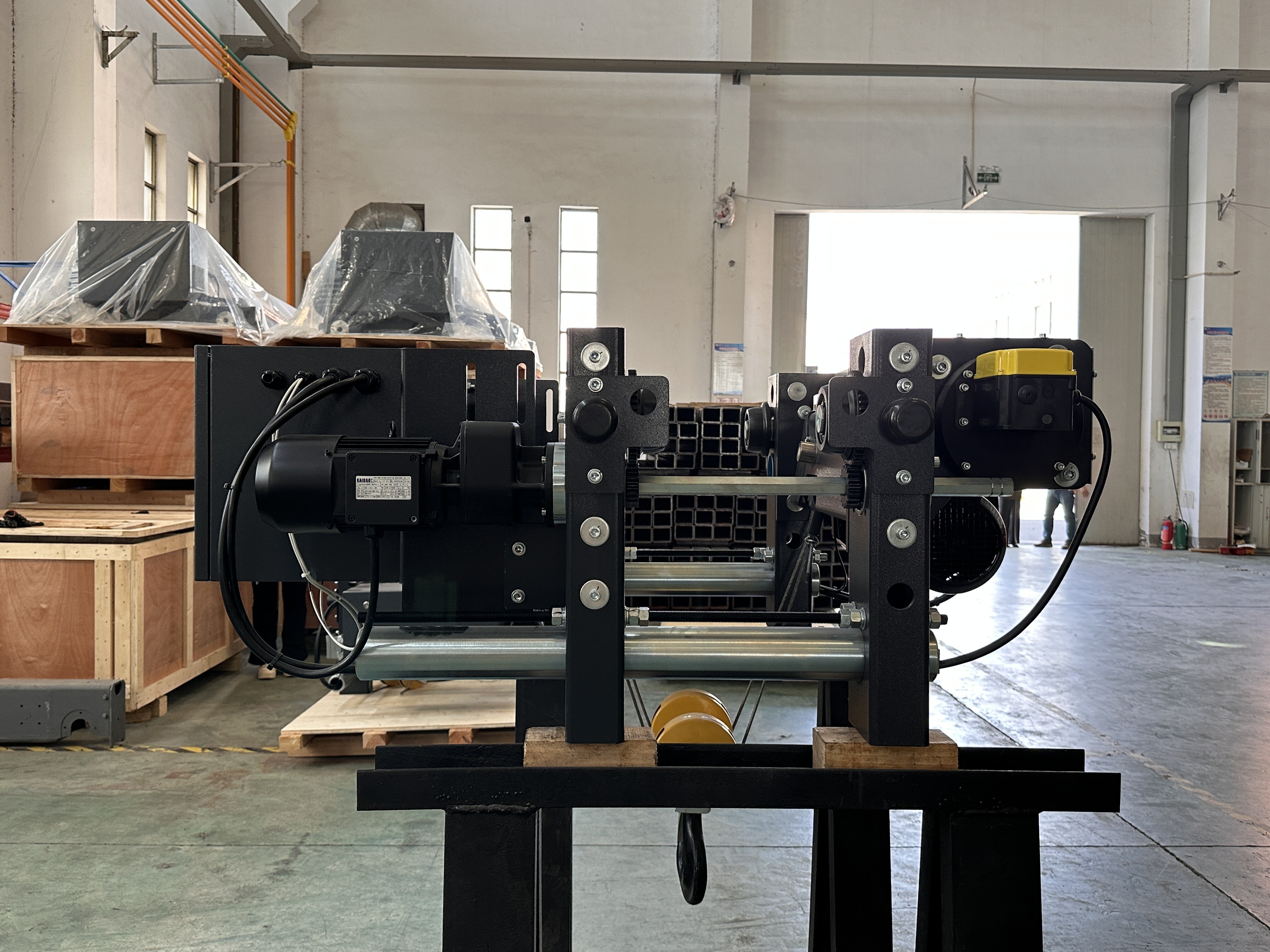 Wire rope hoist