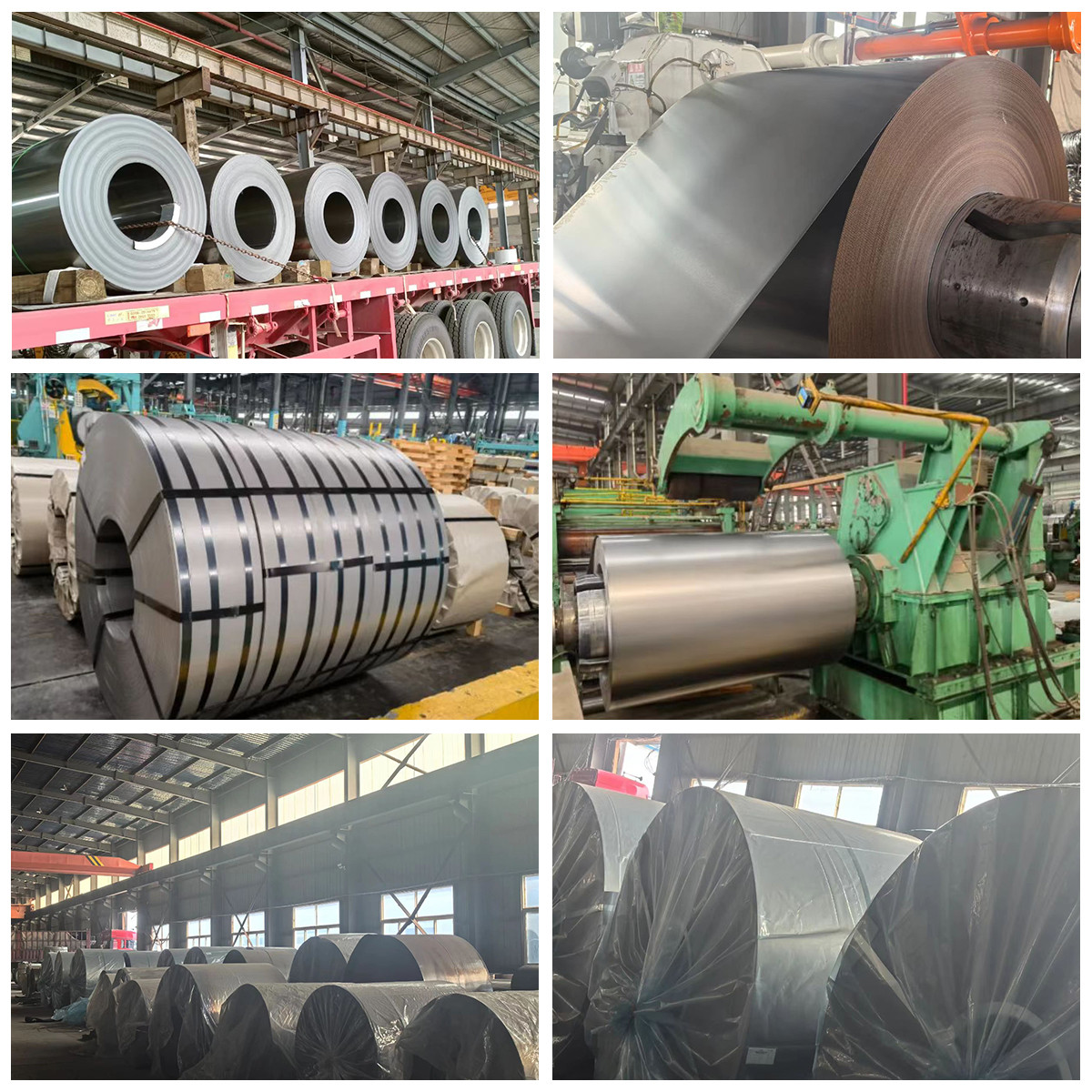 SPCC/DC01 Carbon Steel Coil