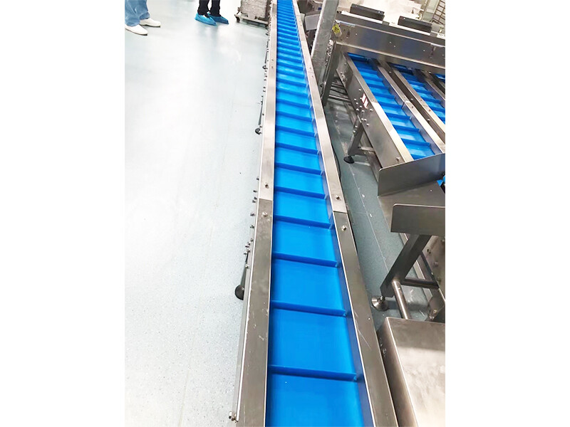 Belt Conveyors