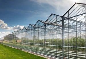 glass-greenhouse-senhong-glass-china-manufacturer-1-300x205.jpg Glass Greenhouse