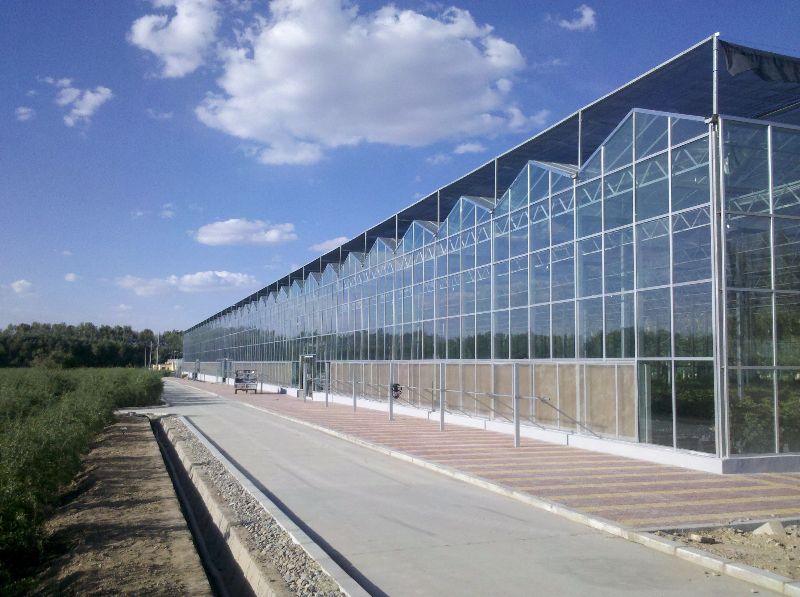 Glass Greenhouse Glass Greenhouse