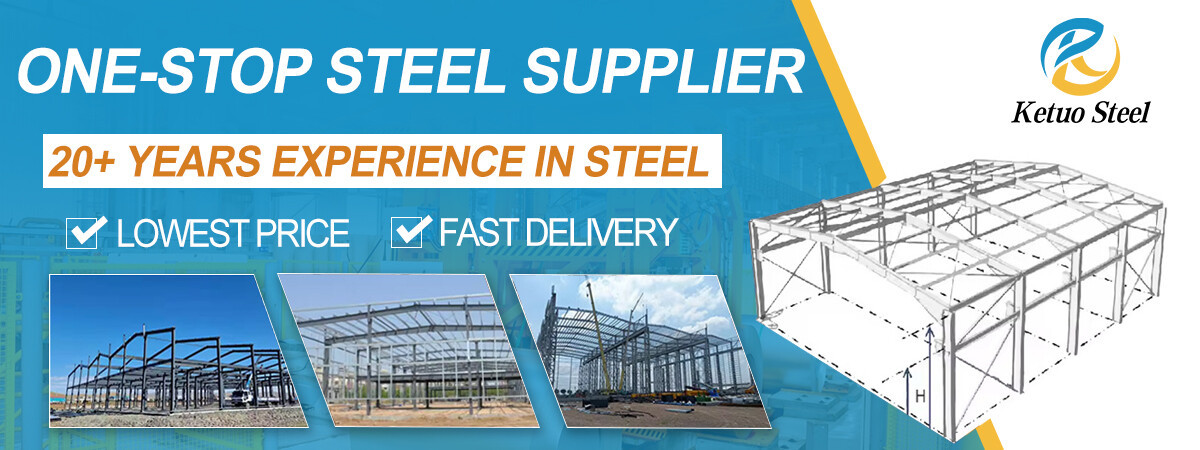 Light Steel Structure Prefabricated Metal Customized Construction Factory Portal FrameProcessing Workshop Building