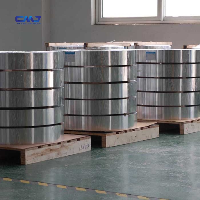 Stainless Steel Strip