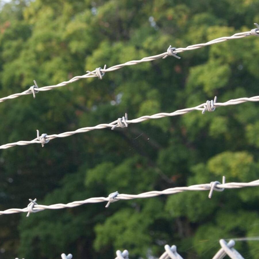 Barbed Wire
