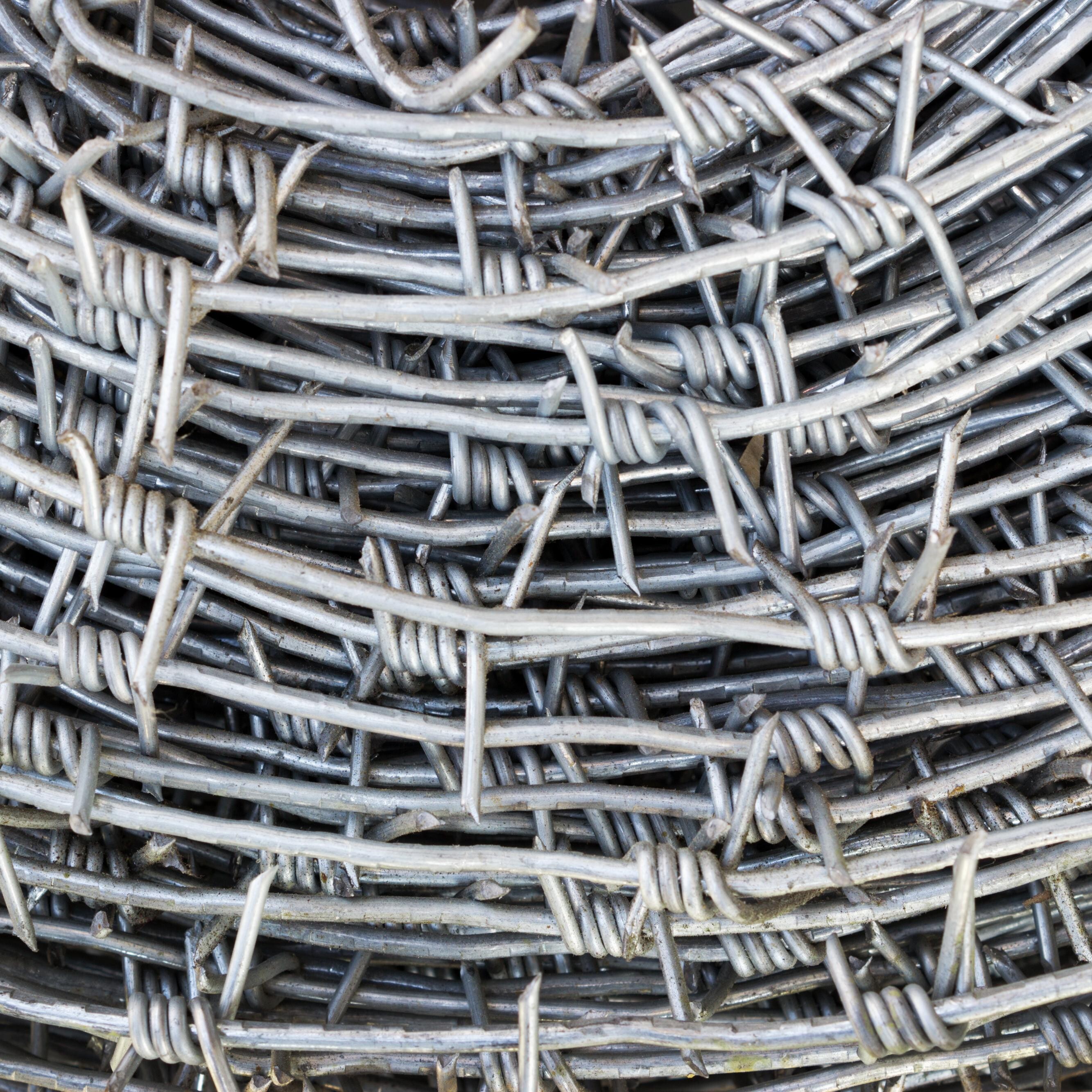 Barbed Wire