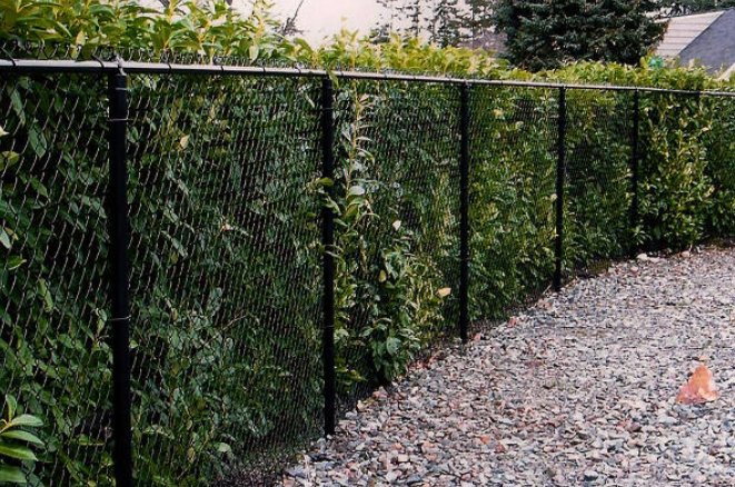 Chainlink fences2 Fence/Guardrail