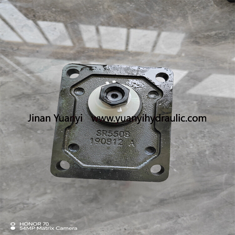 GHP22.jpg Marzocchi GHP1 GHP1A Hydraulic Gear Pump, GHP2 GHP2A ALM1 ALM2 ALM3 ALP1 Series ALP2A-D-10-FG ALP2A-D-12-FG High Pressure Hydraulic Pump