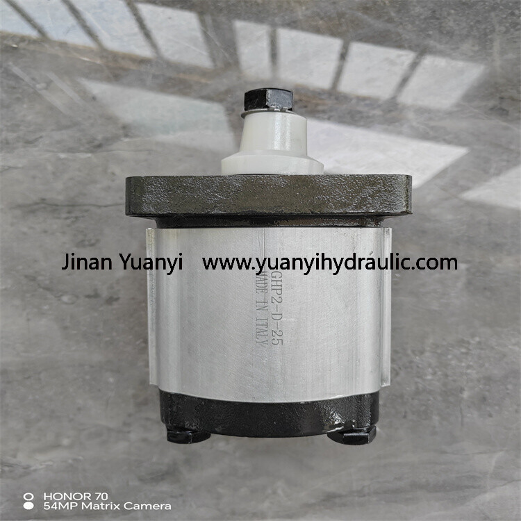 GHP23.jpg Marzocchi GHP1 GHP1A Hydraulic Gear Pump, GHP2 GHP2A ALM1 ALM2 ALM3 ALP1 Series ALP2A-D-10-FG ALP2A-D-12-FG High Pressure Hydraulic Pump