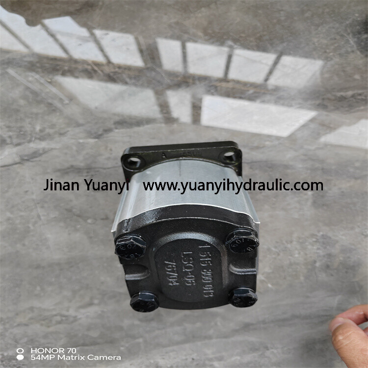 GHP24.jpg Marzocchi GHP1 GHP1A Hydraulic Gear Pump, GHP2 GHP2A ALM1 ALM2 ALM3 ALP1 Series ALP2A-D-10-FG ALP2A-D-12-FG High Pressure Hydraulic Pump