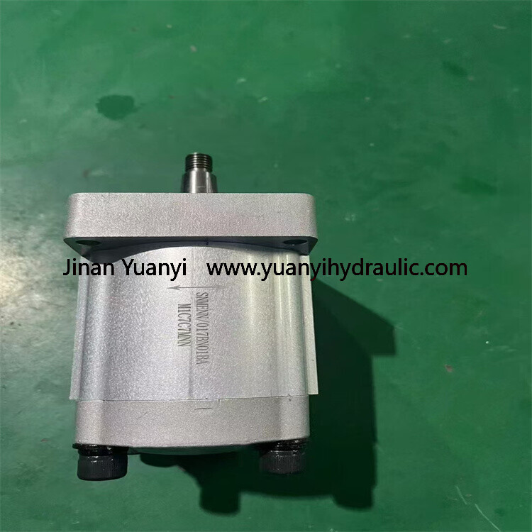 Marzocchi GHP1 GHP2 GHP3 ALP2 GHP2A-D-25-C2-FG ALP2-D-30 Aluminum Gear Hydraulic Pump