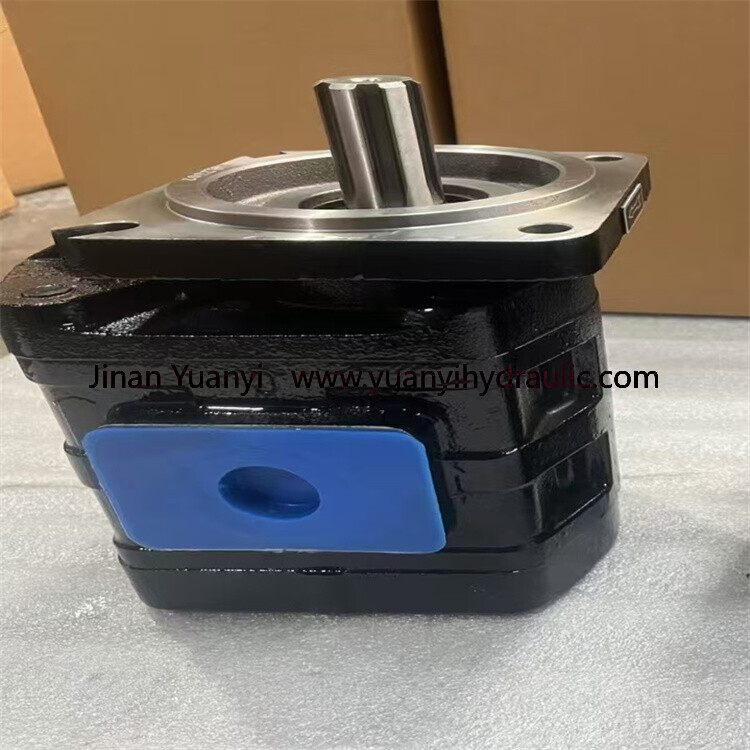 Loader CBGJ3100 CBGJ3160 CBGJ3125 High Pressure Hydraulic Gear Pump, 100CC Flow Hydraulic Pump