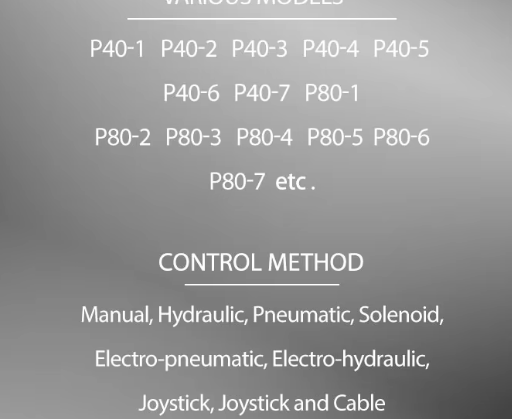 P80 2p80 3p80 4p80 Monoblock Directional Control Hydraulic Valve for forklift