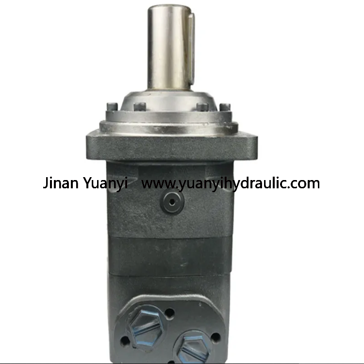OMV1000 BMV800 BM5 8K 310 390 500 630 800 1000 1250 Orbital Hydraulic Motor