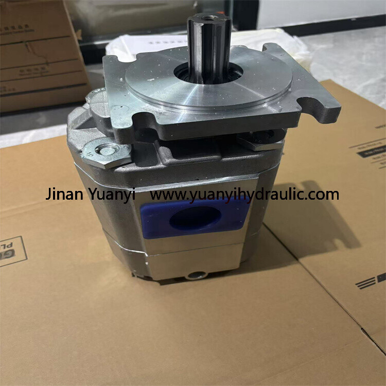 Crane Cbkp Series Gear Pump, Cbkp80/63-Bf Cbkp100/50 Bfp Cbkp80/80-Bfp Double Hydraulic Pump