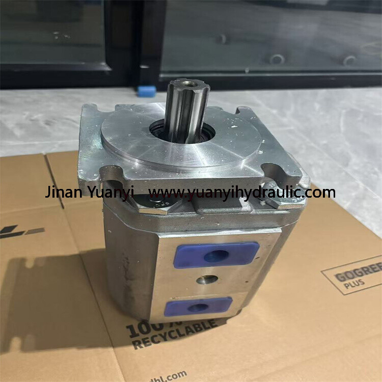 Crane Cbkp Series Gear Pump, Cbkp80/63-Bf Cbkp100/50 Bfp Cbkp80/80-Bfp Double Hydraulic Pump