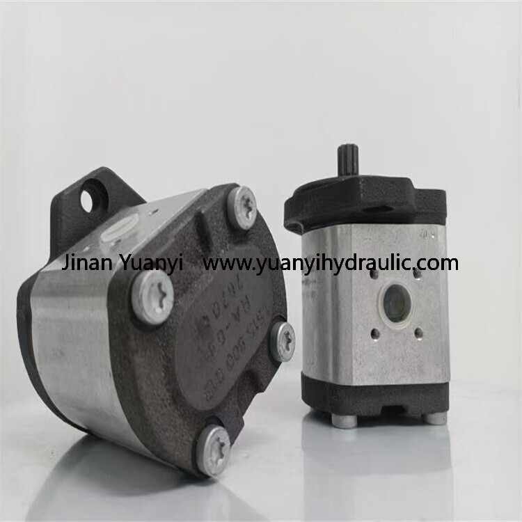 CASAPPA PLM PLP PLP30 PLP20 PLP10 Hydraulic Gear Pump