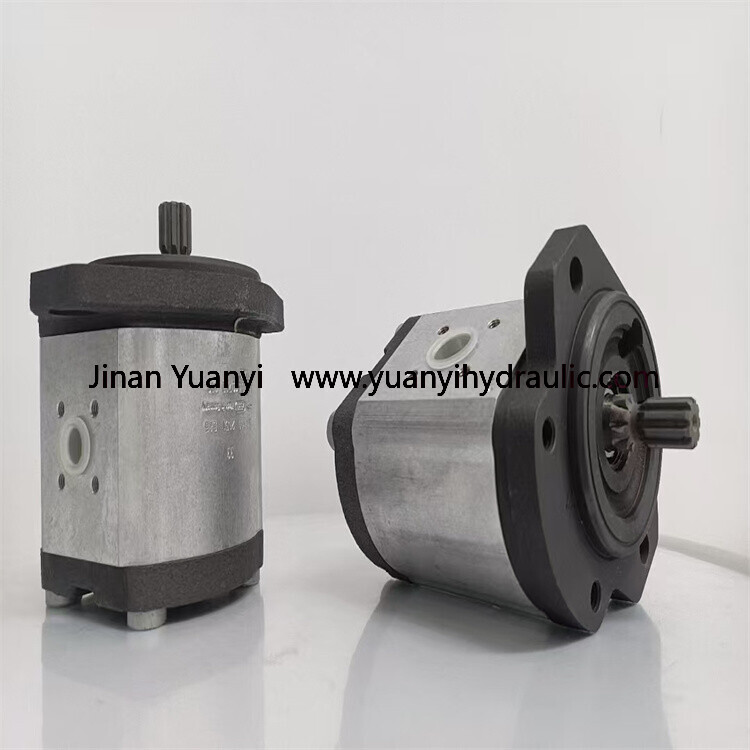 CASAPPA PLM PLP PLP30 PLP20 PLP10 Hydraulic Gear Pump