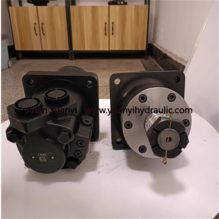 BM6-800 BM6-310 BM6-985 BM6-490 BM6-305 Orbital Hydraulic Motor For Rigs