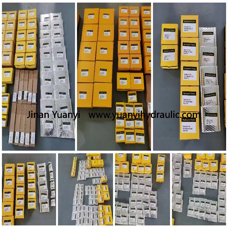 Danfoss H1B060 H1P H1B080 H1B110 H1B160 Hydraulic Motor Spare Parts