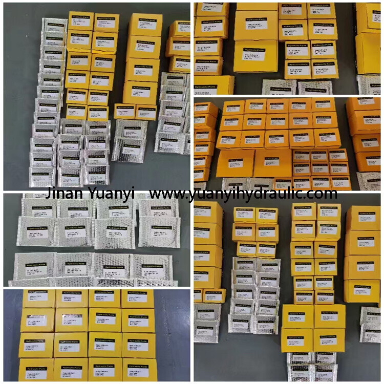 Danfoss H1B060 H1P H1B080 H1B110 H1B160 Hydraulic Motor Spare Parts
