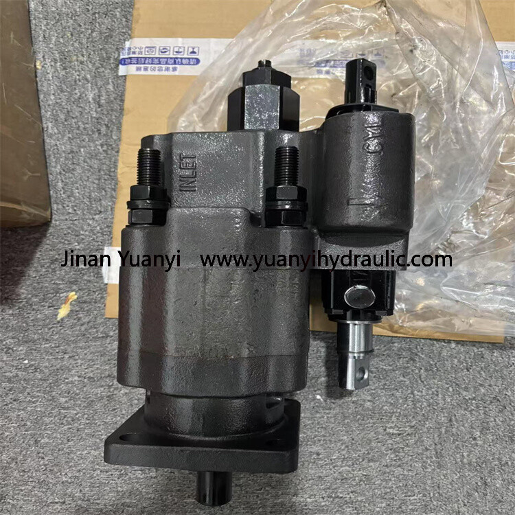 Dump Truck C101-25 C101 C102 G101 G102 Truck Lifting Gear Hydraulic Pump