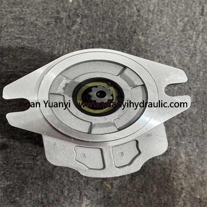 111.20.222.00 SNP2NN/017RN01BAP1C7C3 111.20.286.00 SNP2NN/019RN01BAP1F5F4 Gear Hydraulic Pump
