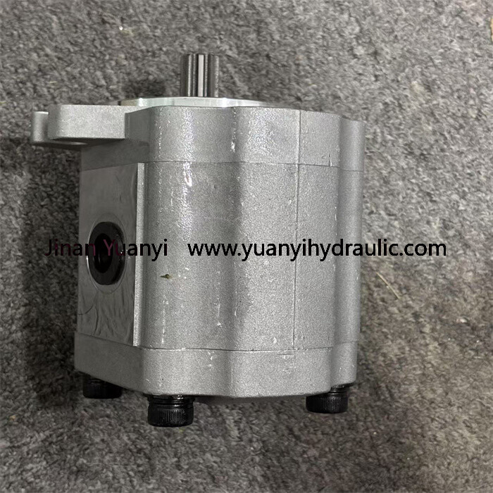 111.20.222.00 SNP2NN/017RN01BAP1C7C3 111.20.286.00 SNP2NN/019RN01BAP1F5F4 Gear Hydraulic Pump