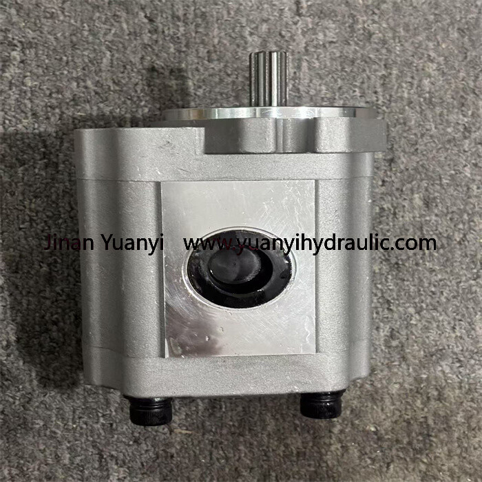 SNP2NN/025L Gear Hydraulic Pump for Sales,111.20.141.00 High Pressure Hydraulic Gear Pump