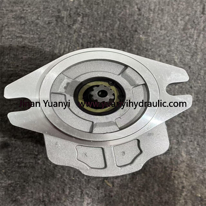 SNP2NN/025L Gear Hydraulic Pump for Sales,111.20.141.00 High Pressure Hydraulic Gear Pump