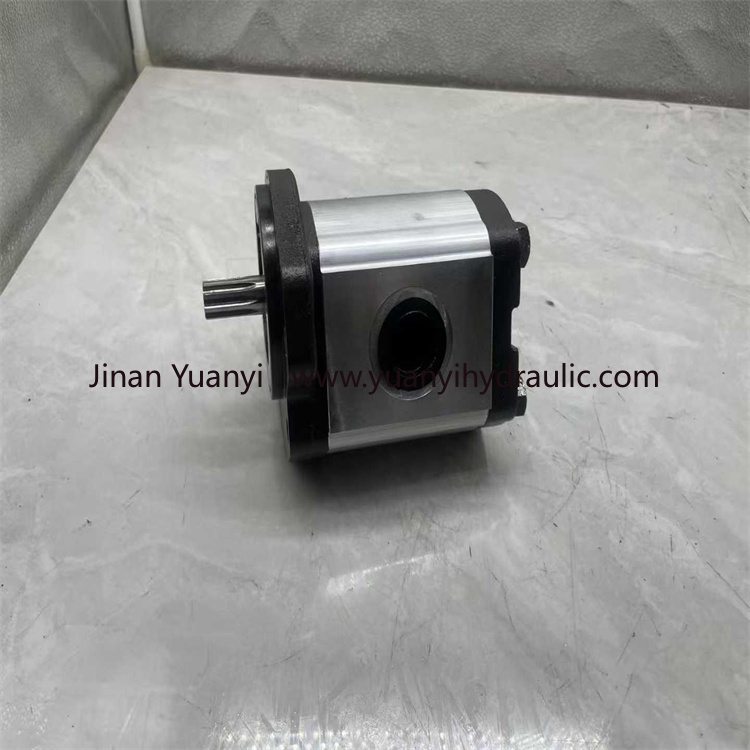 CASSAPA AP200/22 High Pressure Hydraulic Gear Pump, AP200 Series Oil Pump