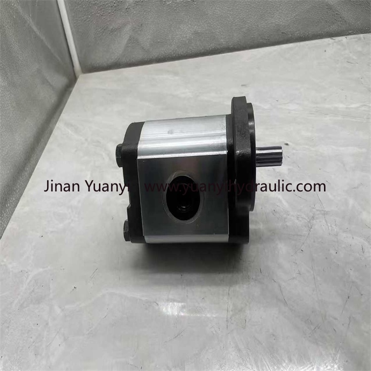 CASSAPA AP200/22 High Pressure Hydraulic Gear Pump, AP200 Series Oil Pump