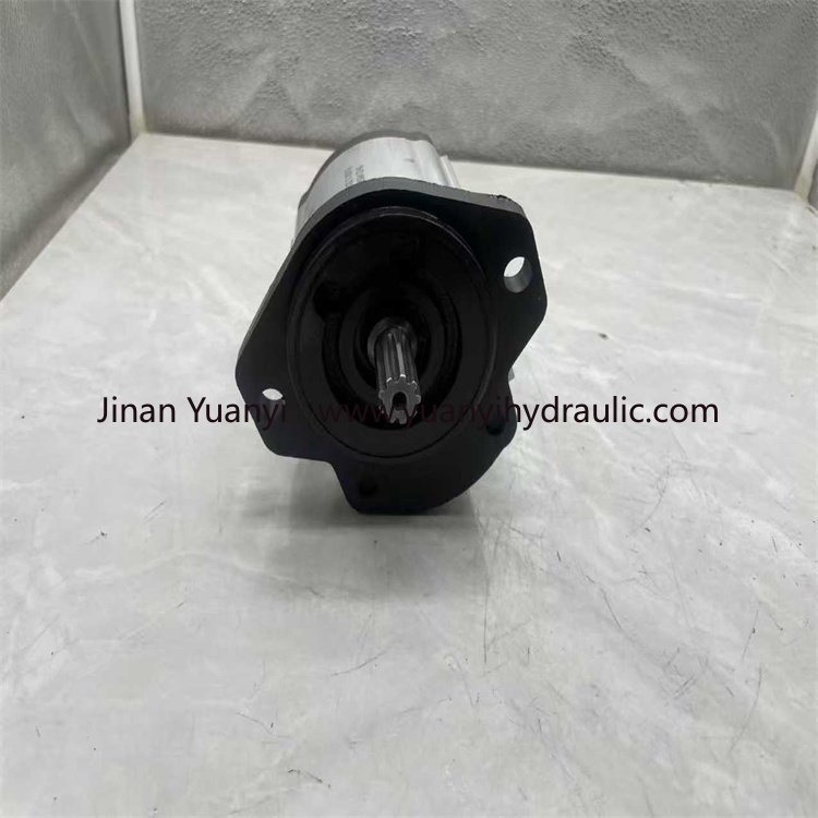 CASSAPA AP200/22 High Pressure Hydraulic Gear Pump, AP200 Series Oil Pump