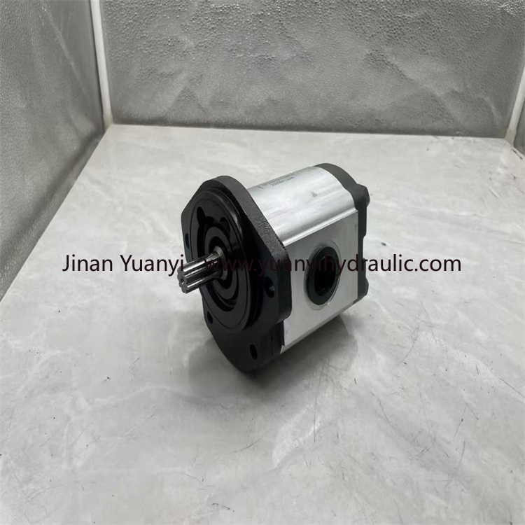 CASSAPA AP200/22 High Pressure Hydraulic Gear Pump, AP200 Series Oil Pump