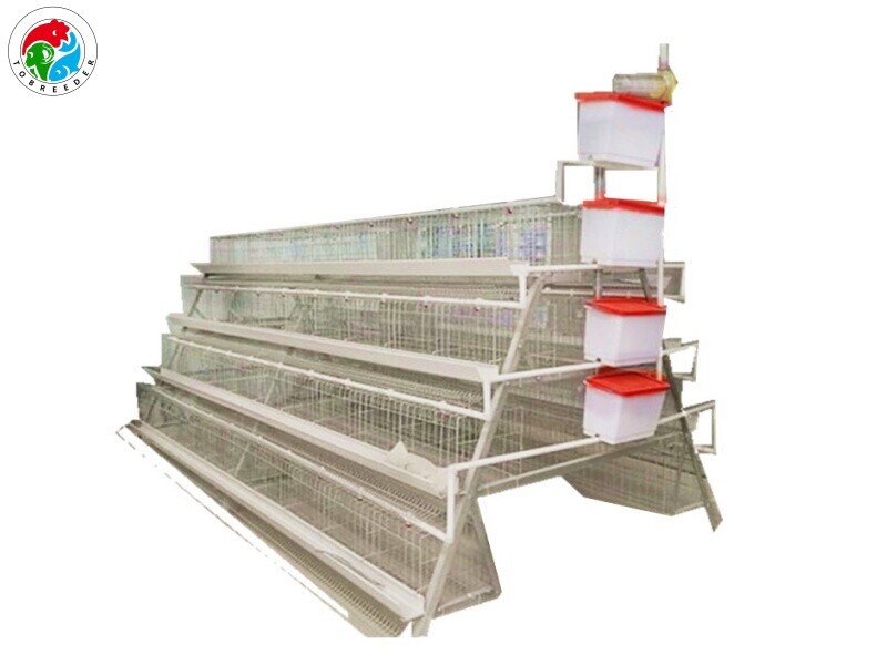 Chicken Cage