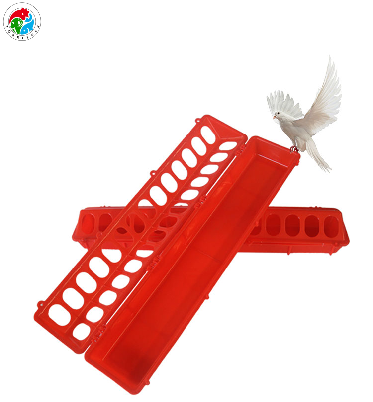 Pigeon Feeder